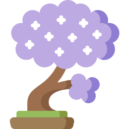 Jacaranda icon