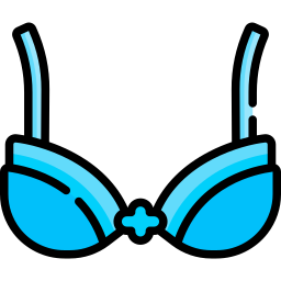 Bra icon