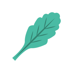 참나무 잎 icon