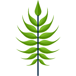 Leaf icon