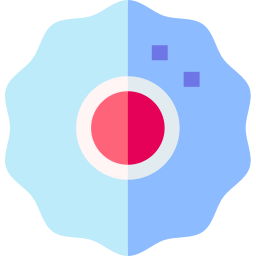 zelle icon