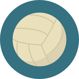 volleybal icoon