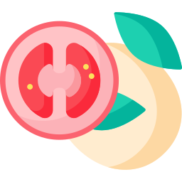 Mozzarella icon