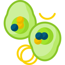 Stuffed avocado icon