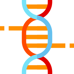 adn Icône