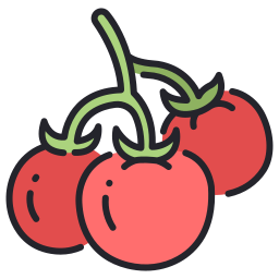 tomaten icon