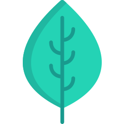 Leaf icon