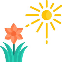 Photosynthesis icon