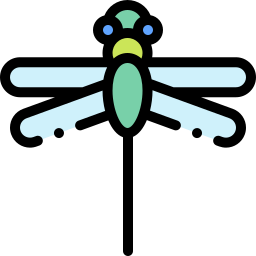 Dragonfly icon