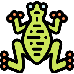 Frog icon