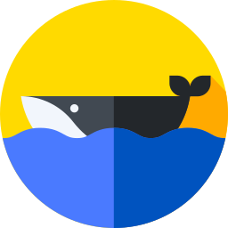 Whale icon