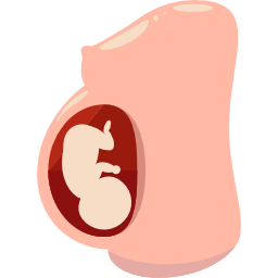 schwangerschaft icon