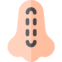Rinoplastia icono