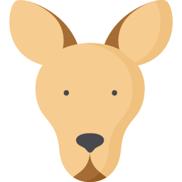 Kangaroo icon