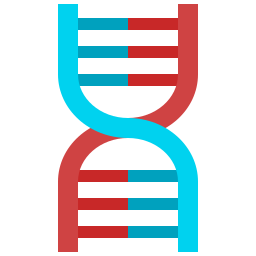 dna icona