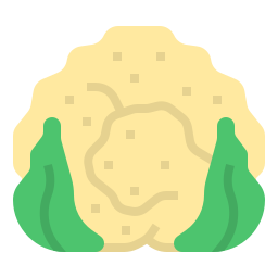 Coliflor icono