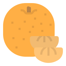 orange icon