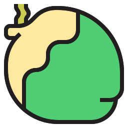 kokosnuss icon