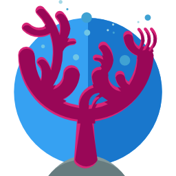 koral ikona
