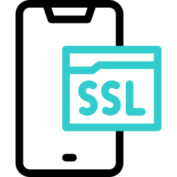 ssl de teléfono móvil icono