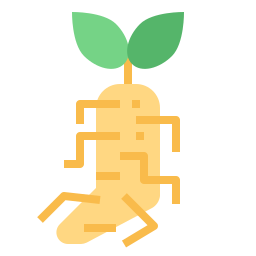 ginseng icon