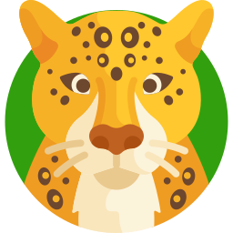 Jaguar icon