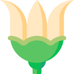 Lotus icon