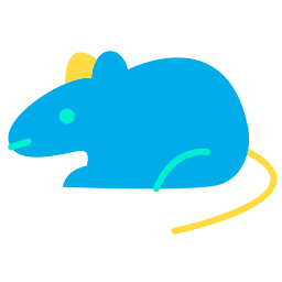 rat Icône