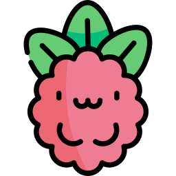 Raspberry icon