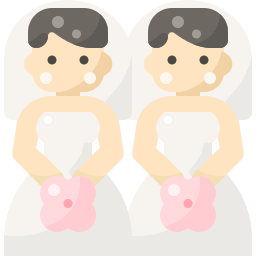 Brides icon