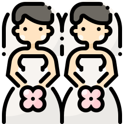 Brides icon