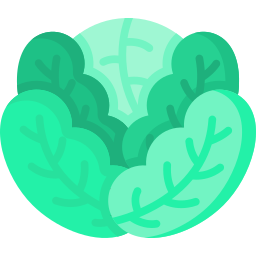 Cabbage icon