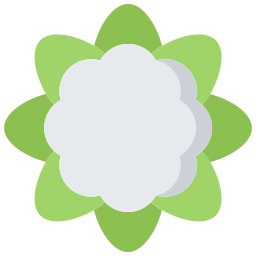 Cauliflower icon