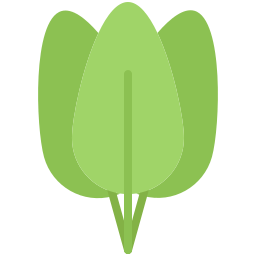 Spinach icon