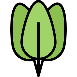 Espinacas icono