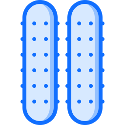 concombre Icône