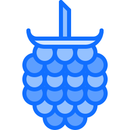 라즈베리 icon