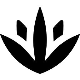 agave icon