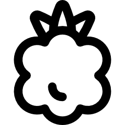 himbeere icon