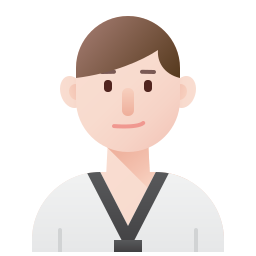 Taekwondo Ícone