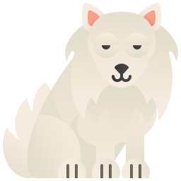 Samoyedo icono