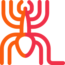 나스카 라인 icon