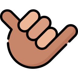 Hang loose hand icon