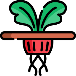 Jardinería hidropónica icono