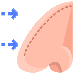 Rinoplastia icono