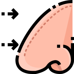 Rhinoplasty icon