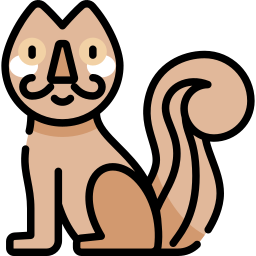 Cat icon