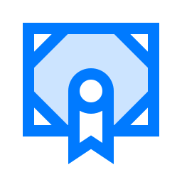 Certificate icon