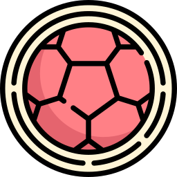 コロンビアサッカー連盟 icon