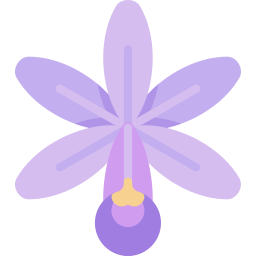 Orquídea Ícone